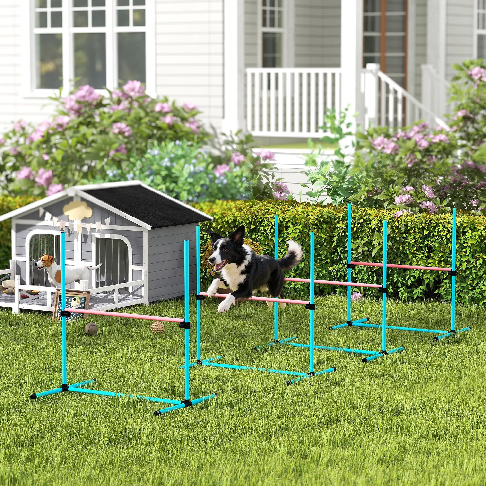 Agility rinkinys šunims 4 dalių aukščio reguliuojama agility įranga su 4 kliūtimis Nešimo krepšys 99 x 65 x 94 cm Šviesiai mėlyna