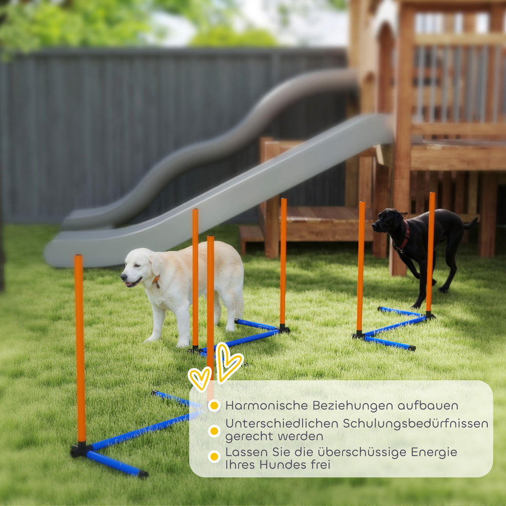 Agility slalomo stulpų rinkinys šunims, 3 dalių, su krepšiu, visų dydžių šunims, oranžinis