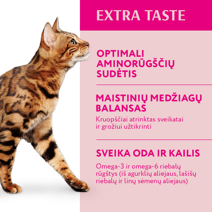 OPTIMEAL™. sausas pašaras suaugusioms katėms su veršiena privalumai