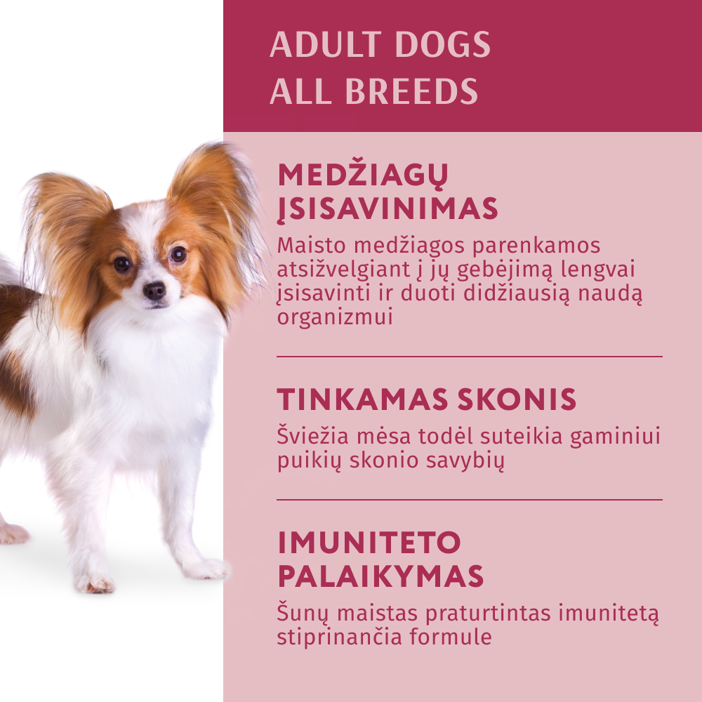 OPTIMEAL ™ Visavertis konservuotas pašaras suaugusiems šunims su jautiena ir spanguolėmis drebučiuose 12x0.01 kg privalumai