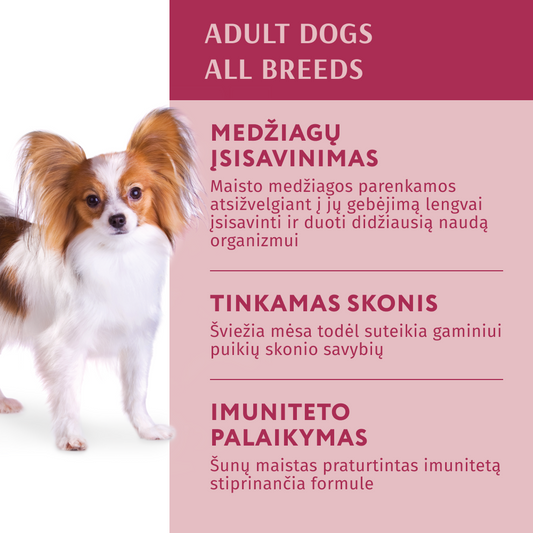 OPTIMEAL ™ Visavertis konservuotas pašaras suaugusiems šunims su jautiena ir spanguolėmis drebučiuose 12x0.01 kg privalumai