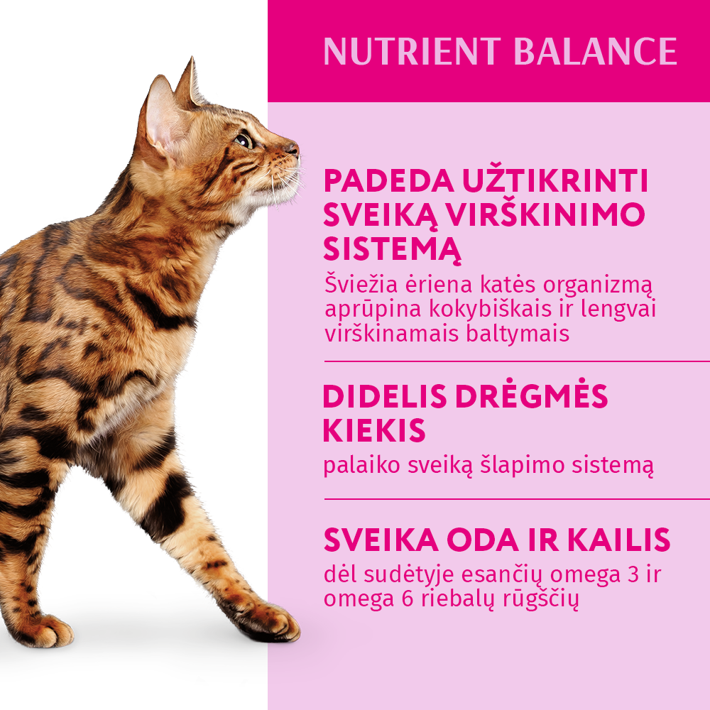 OPTIMEAL ™ konservuotas pašaras suaugusioms katėms su ėriena ir daržovėmis drebučiuose 12x0.085 kg  privalumai