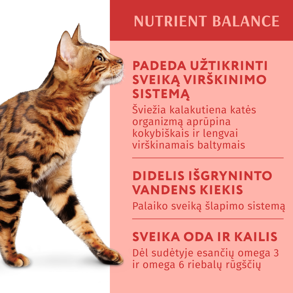 OPTIMEAL ™ konservuotas pašaras suaugusioms katėms su kalakutiena moliūgų padaže 12x0.085 kg privalumai