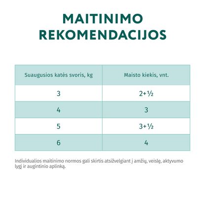 OPTIMEAL ™ konservuotas pašaras suaugusioms katėms su triušiena morkų drebučiuose 12x0.085 kg šėrimo normos