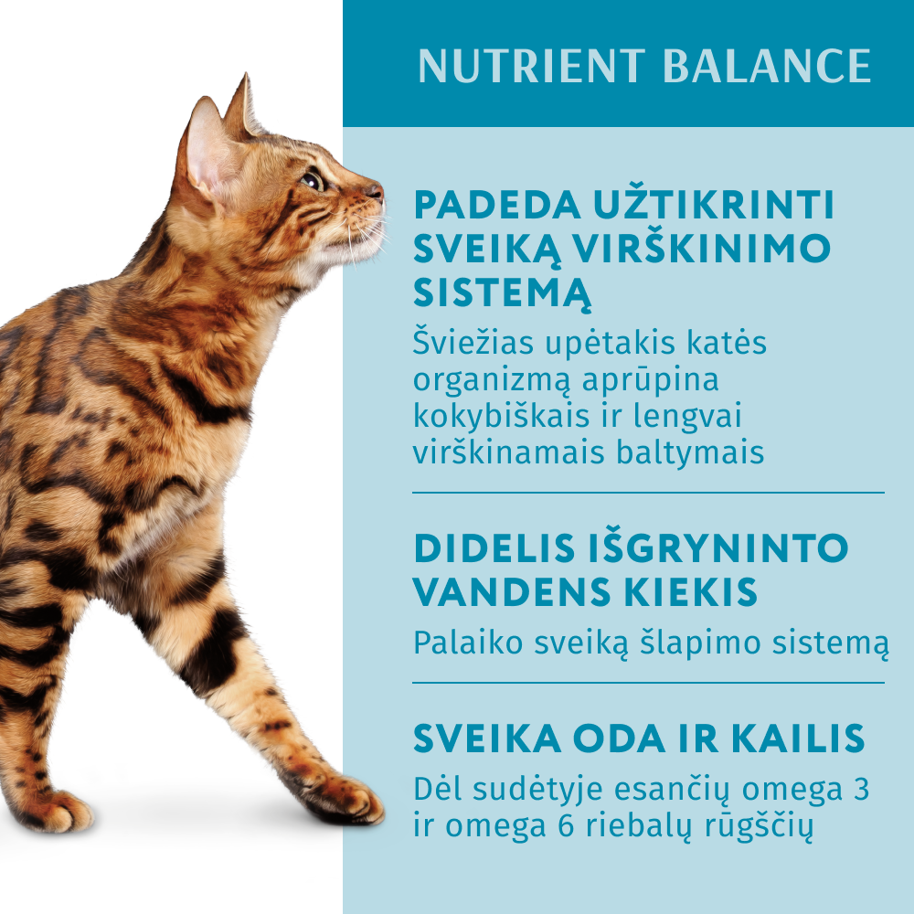 konservuotas pašaras suaugusioms katėms su upėtakiu kreminiame padaže 12x0.085 kg privalumai