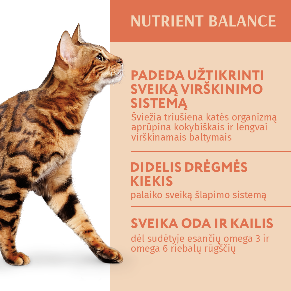 OPTIMEAL ™ konservuotas pašaras suaugusioms katėms su triušiena baltame padaže 12x0.085 kg privalumai