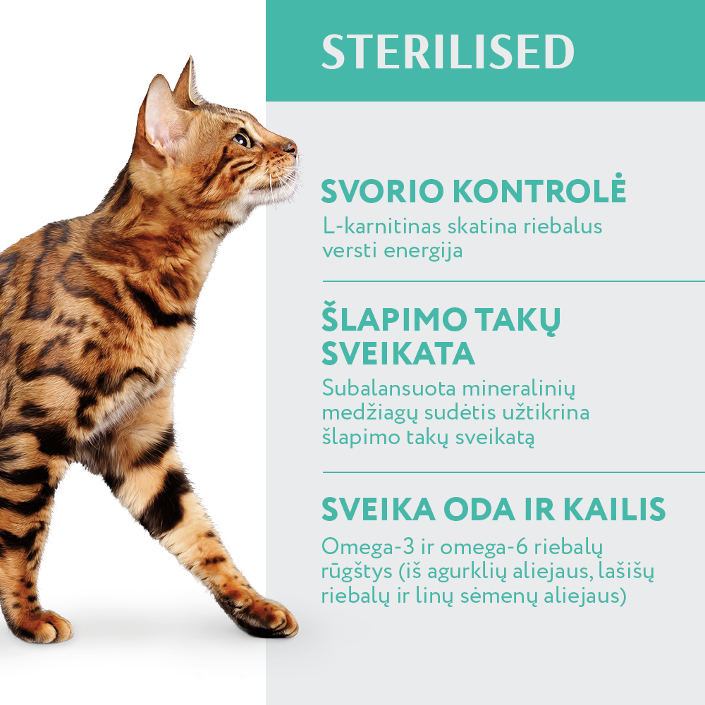 OPTIMEAL™ sausas pašaras sterilizuotoms katėms su kalakutiena ir avižomis nauda