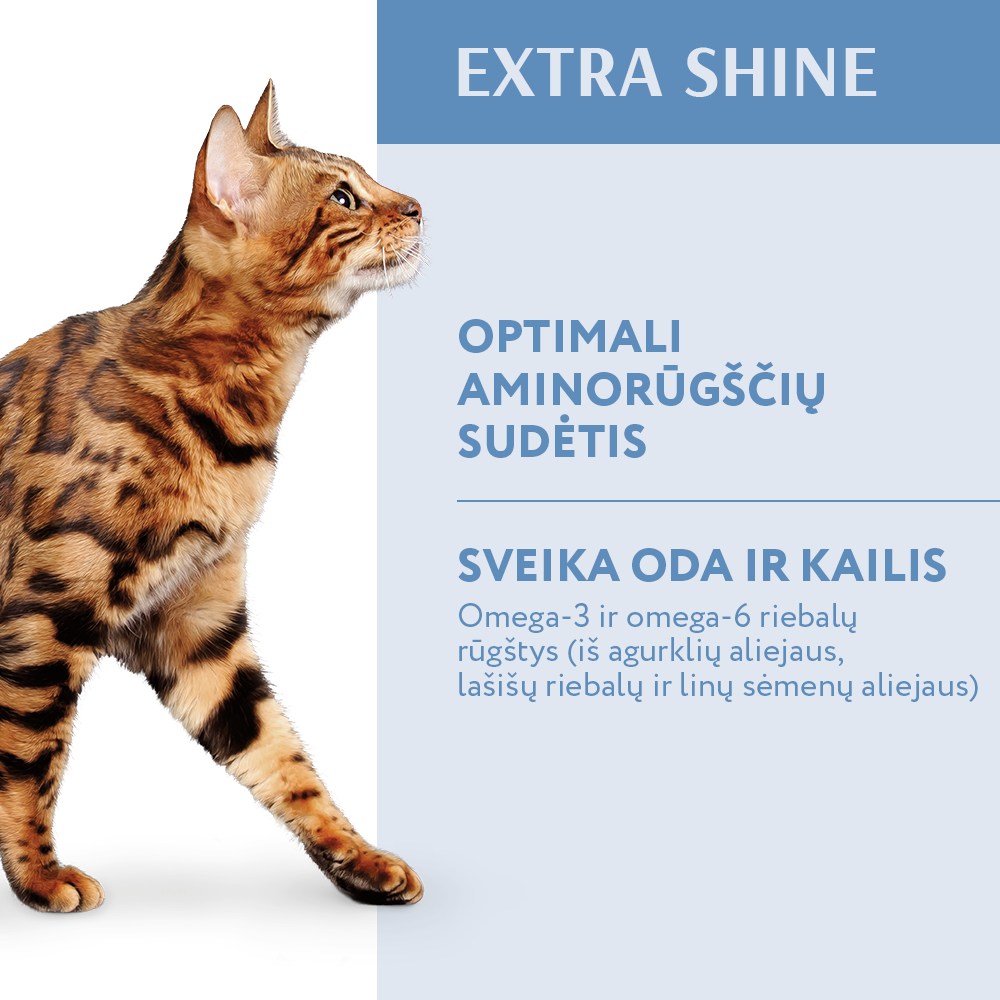 OPTIMEAL™ sausas pašaras suaugusioms katėms su menke privalumai odai ir kailiui