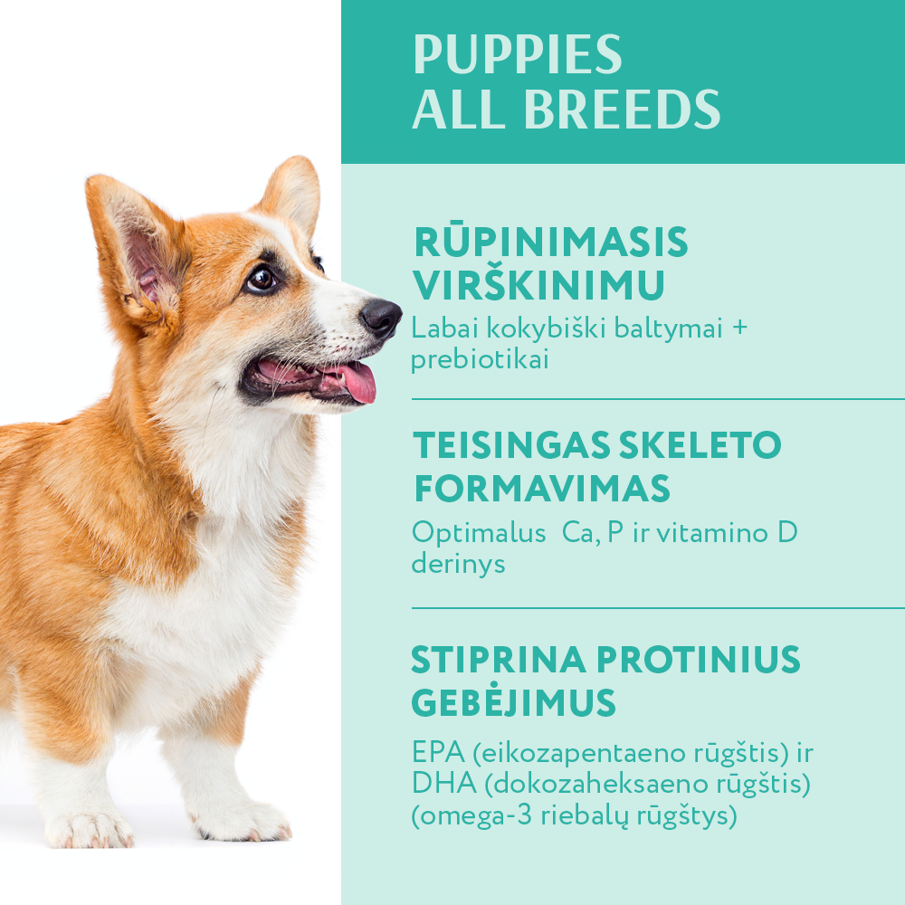OPTIMEAL™ sausas pašaras visų veislių šuniukams su kalakutiena nauda