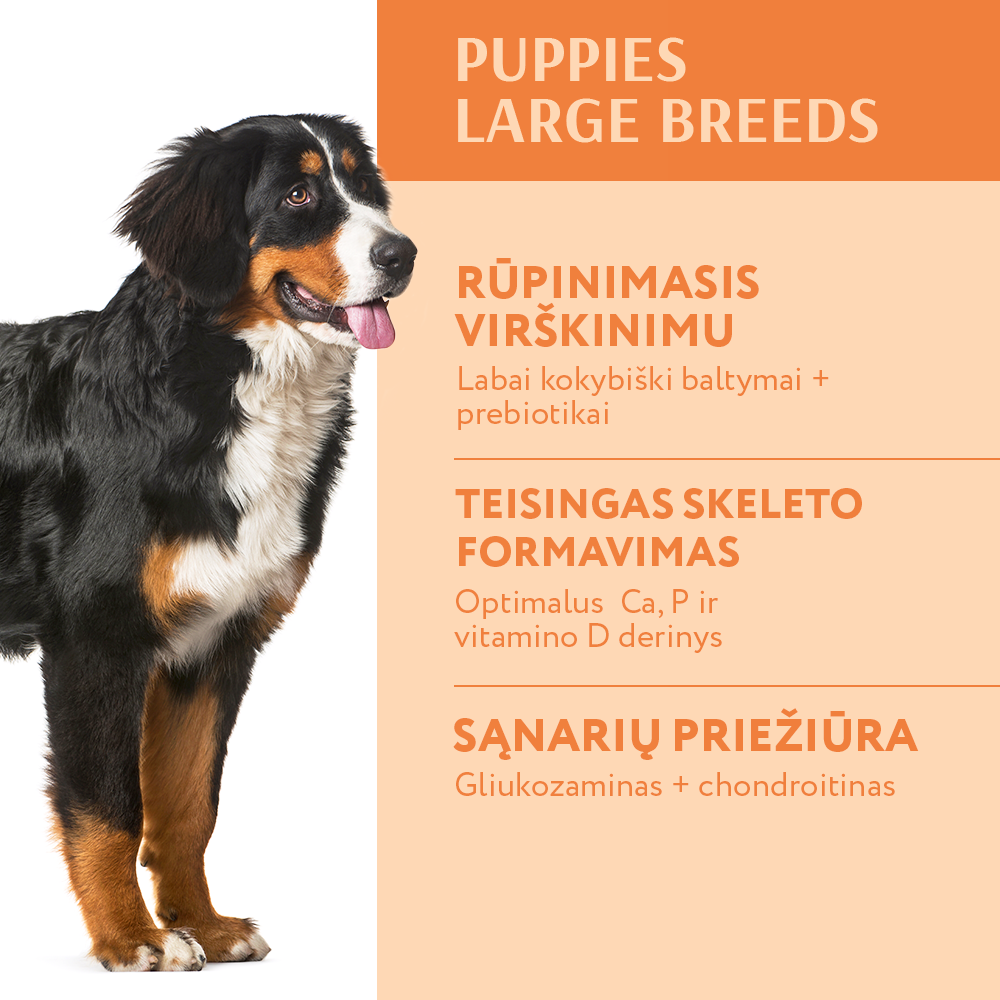 OPTIMEAL™ sausas pašaras didelių veislių šuniukams su kalakutiena nauda