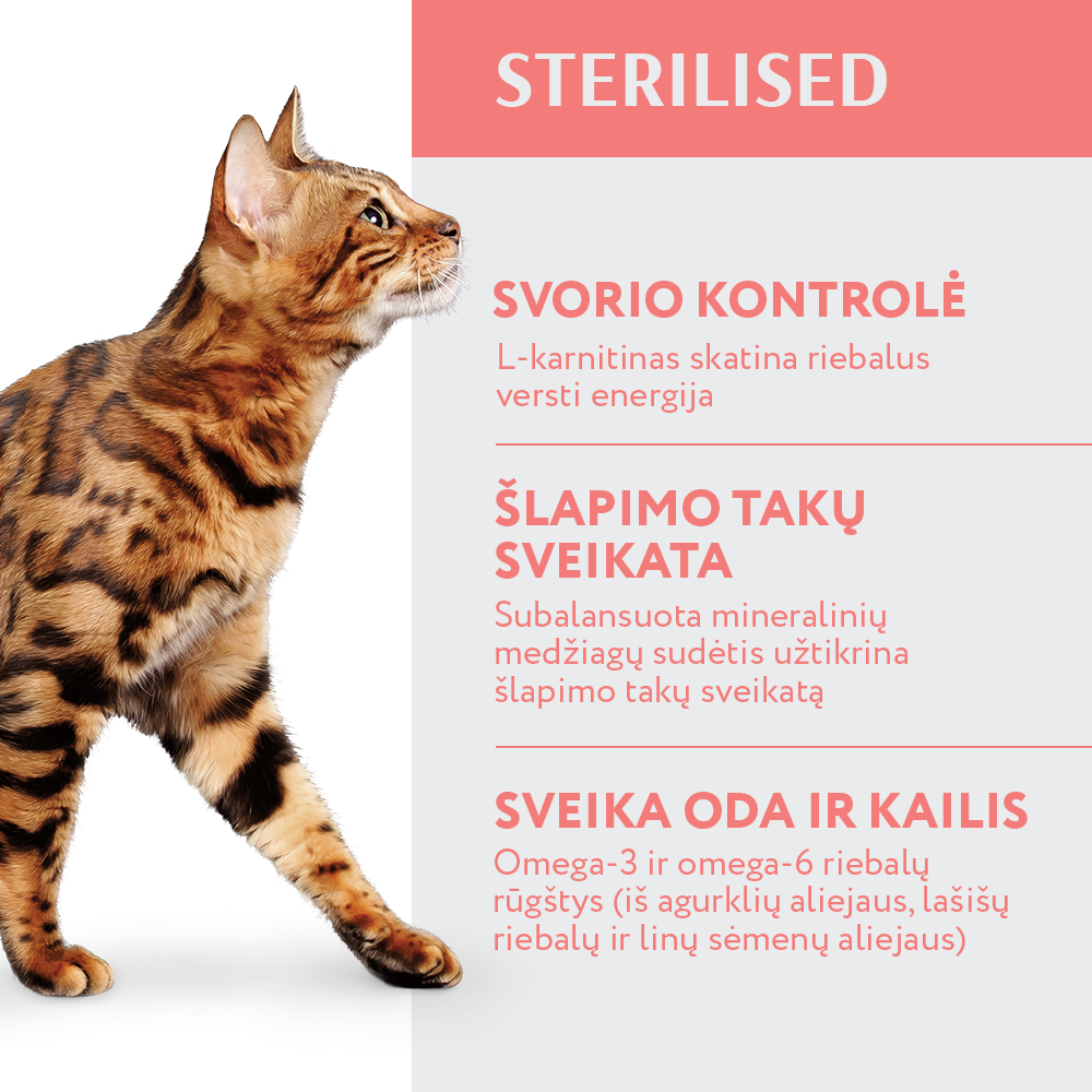 OPTIMEAL™ sausas pašaras sterilizuotoms katėms su jautiena ir sorgomis privalumai