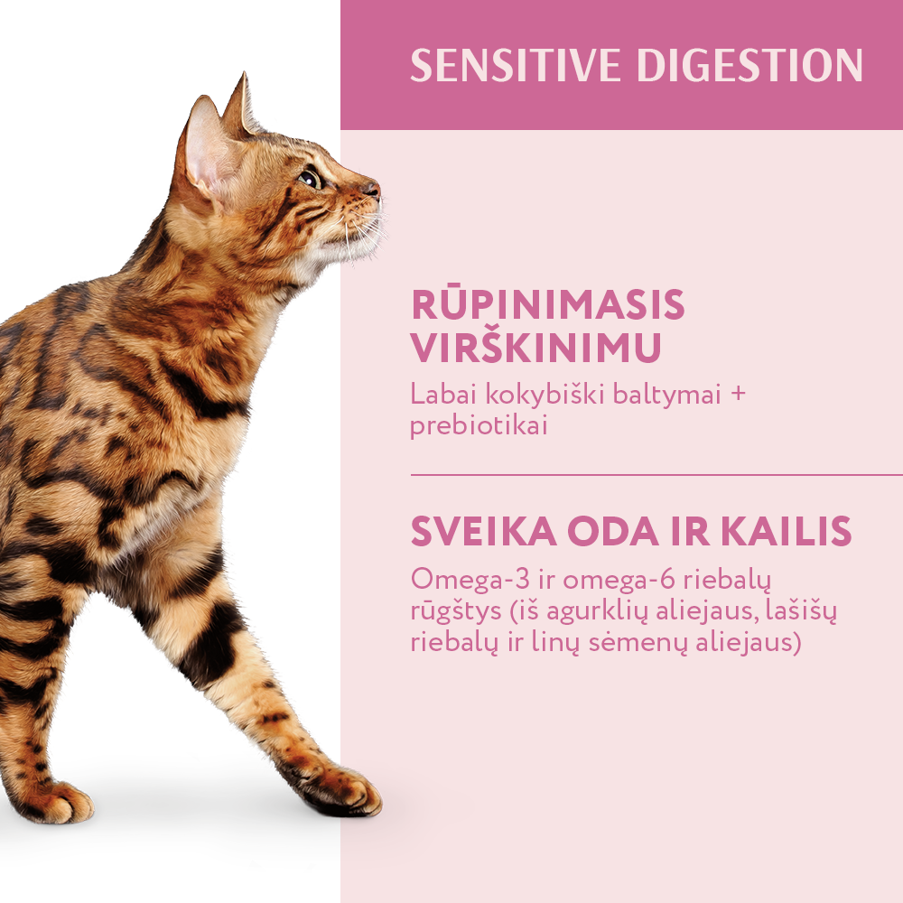OPTIMEAL™ sausas pašaras suaugusioms katėms su ėriena esant jautriam virškinimui nauda organizmui