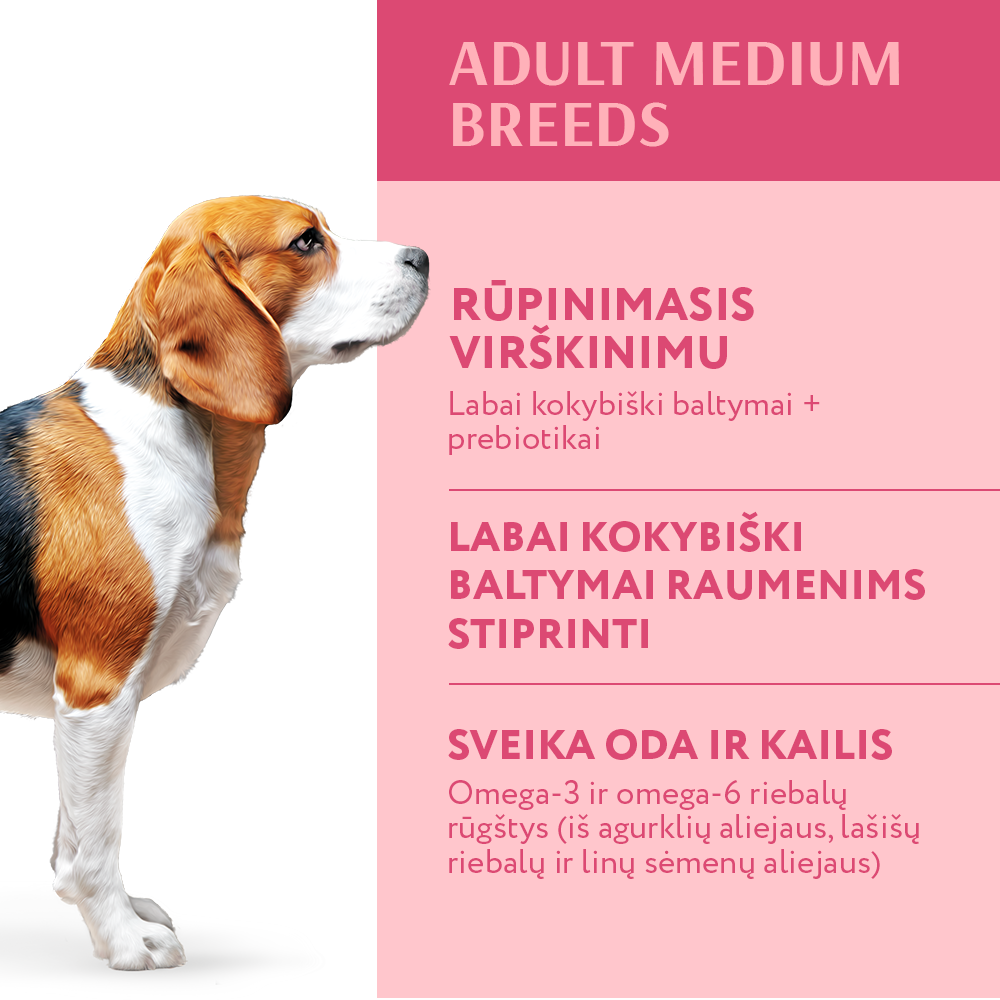 OPTIMEAL ™ visavertis sausas pašaras vidutinių veislių šunims su kalakutiena nauda