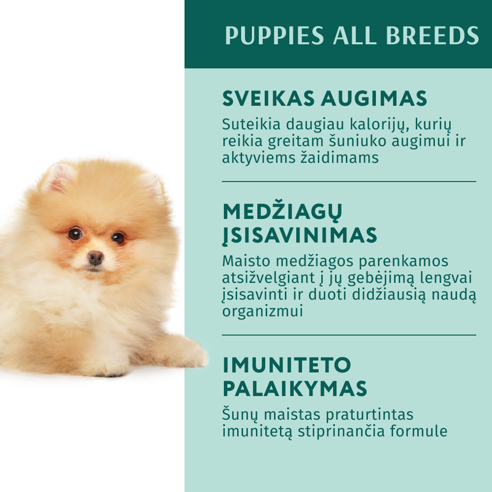 OPTIMEAL ™ visavertis konservuotas pašaras šuniukams su kalakutiena ir morkomis padaže 12x0.1 kg nauda