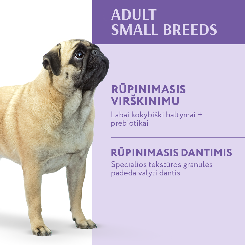 visavertis sausas pašaras mažų veislių šunims su antiena nauda