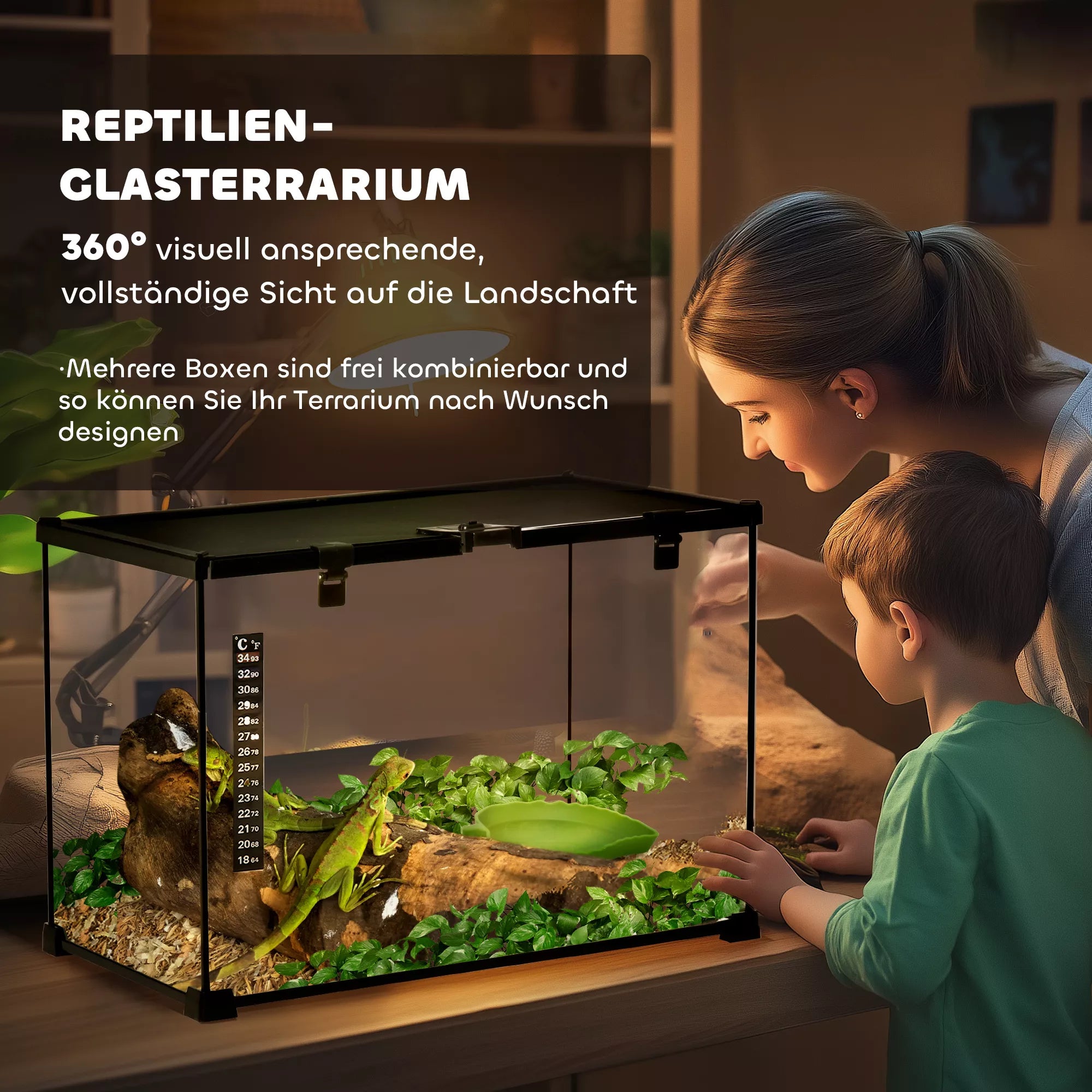 Terariumas ropliams Maitinimo dėžutė stiklinis terariumas varliagyviams, voragyviams su termometru Roplių auginimo dėžutė sraigėms, varliagyviams, vabzdžiams, vėžliams Juoda 50 x 30 x 35 cm