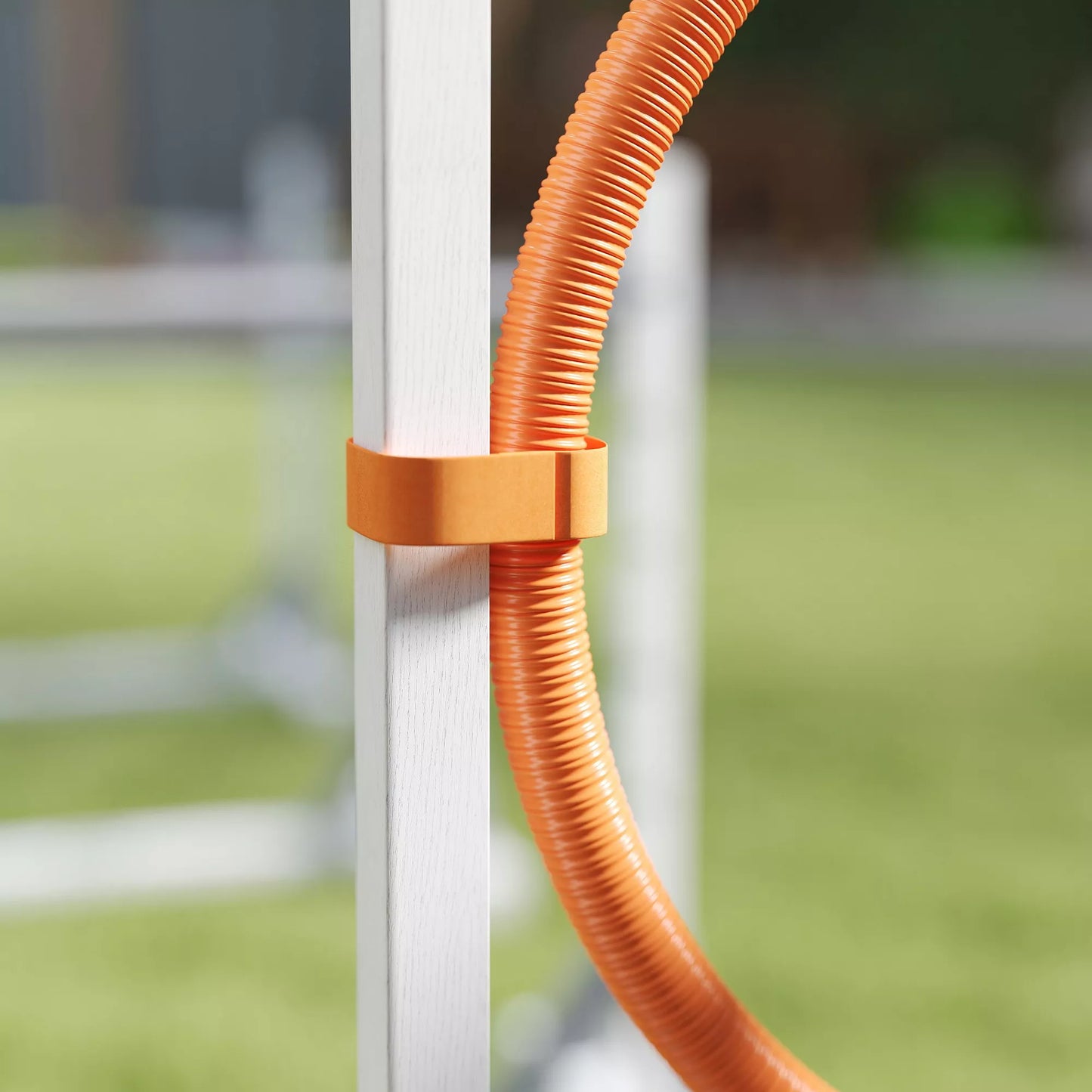 Agility rinkinys šunims, 4 dalių dresūros įranga su aukščio reguliuojamomis kliūtimis ir lanku, baltas