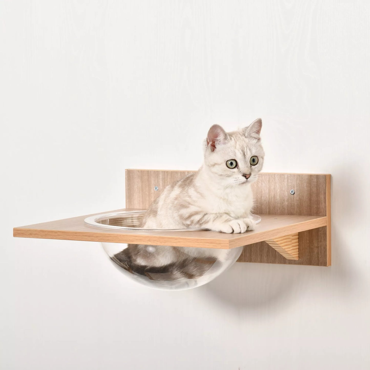 4 dalių katės laipiojimo sienelė su draskykle, katės laipteliais, katės baldais, hamaku, šviesiai rudos spalvos, sizalis, akrilas, pušis