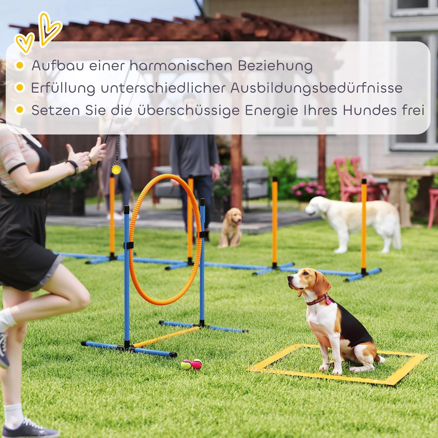 Agility rinkinys šunims, 7 dalys. Agility įranga šunų dresūrai. Sudedamų kliūčių rinkinys žaidimams ir treniruotėms.