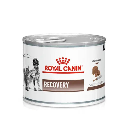 Recovery drėgnas pašaras katėms ir šunims Royal Canin 195 g