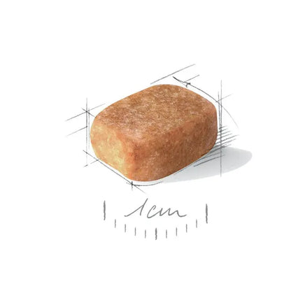 Royal Canin Chihuahua Adult sausas maistas čihuahua veislės šunims, 1,5 kg granulė