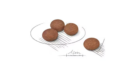 Royal Canin Dog Digestive Care Mini subalansuotas mažų veislių šunims