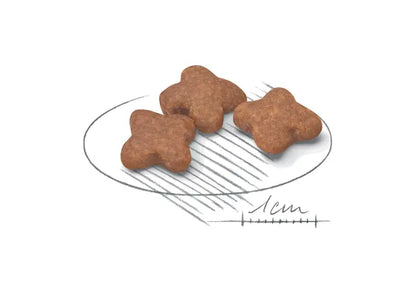 Royal Canin Dog Mini Adult 8+ visavertis pašaras mažų veislių šunims nuo 8 metų išvaizda