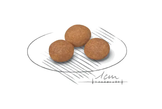 Royal Canin Dog Xsmall Adult 8+ visavertis pašaras mažųjų veislių šunims - vyresniems nei 8 metų išvaizda