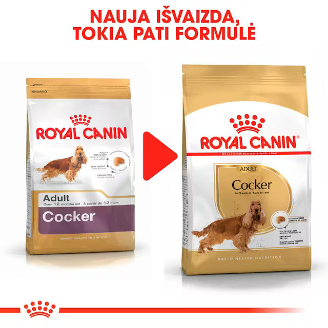 Royal Canin Cocker Adult visavertis pašaras kokerspanieliams 3 kg atsinaujinusi pakuotė