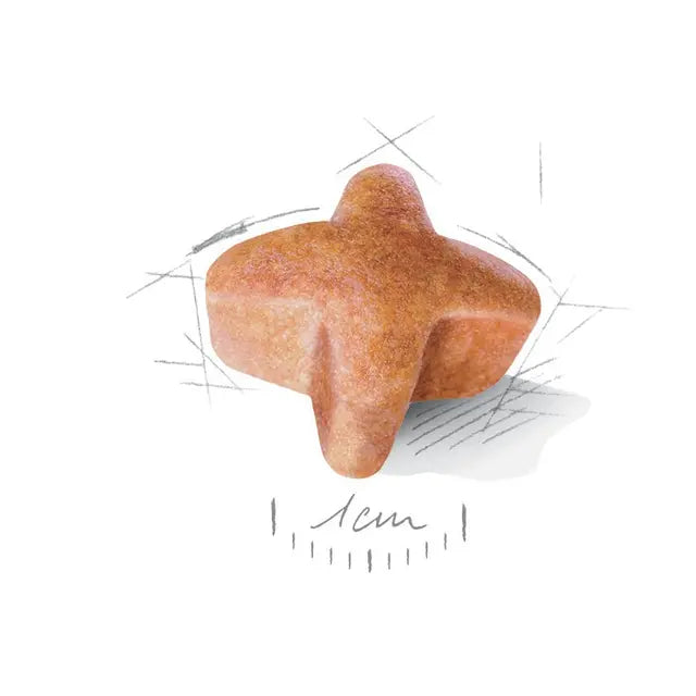 Royal Canin German Shepherd Adult visavertis pašaras vokiečių aviganiams 11 kg grūdelis