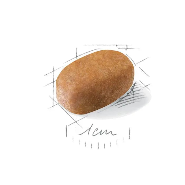 Royal Canin Maltos bišonams granulė