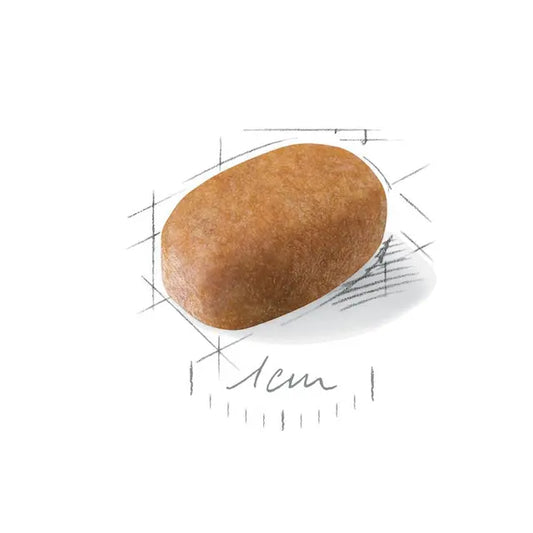 Royal Canin Maltos bišonams granulė