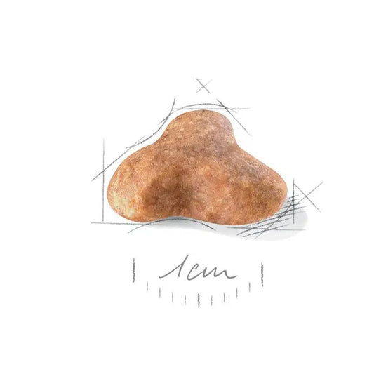 Royal Canin Mopsų veislės šunims granulė