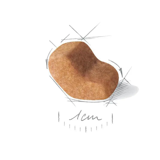 Royal Canin  Ši Cu veislės šunims granulės