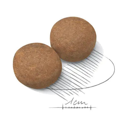 Royal Canin didelių veislių šunims (nuo 26 iki 44 kg) - vyresniems nei 5 metų išvaizda