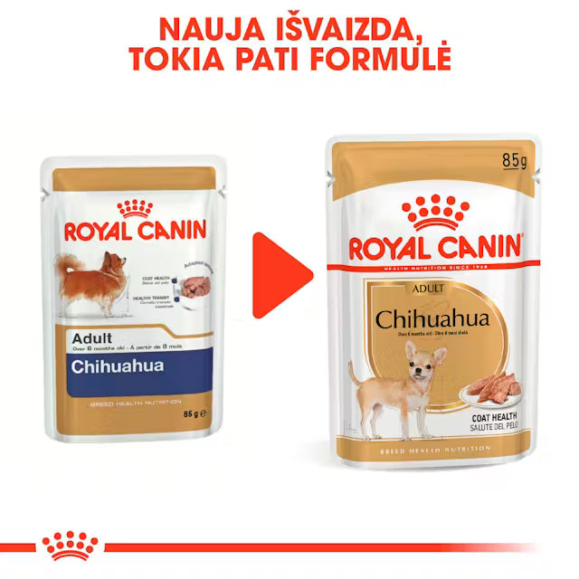 Royal Canin konservai Chihuahua 12x85 g nauja pakuotė