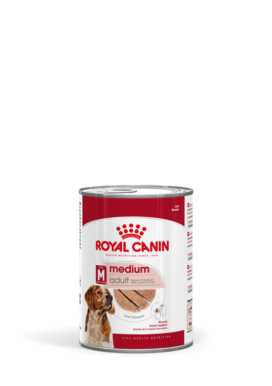 Konservai Medium Adult paštetas vidutinio dydžio šunims Royal Canin 410 g