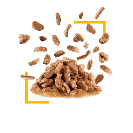 Sensory Taste drėgnas pašaras katėms Royal Canin (gabalėliai padaže) išvaizda