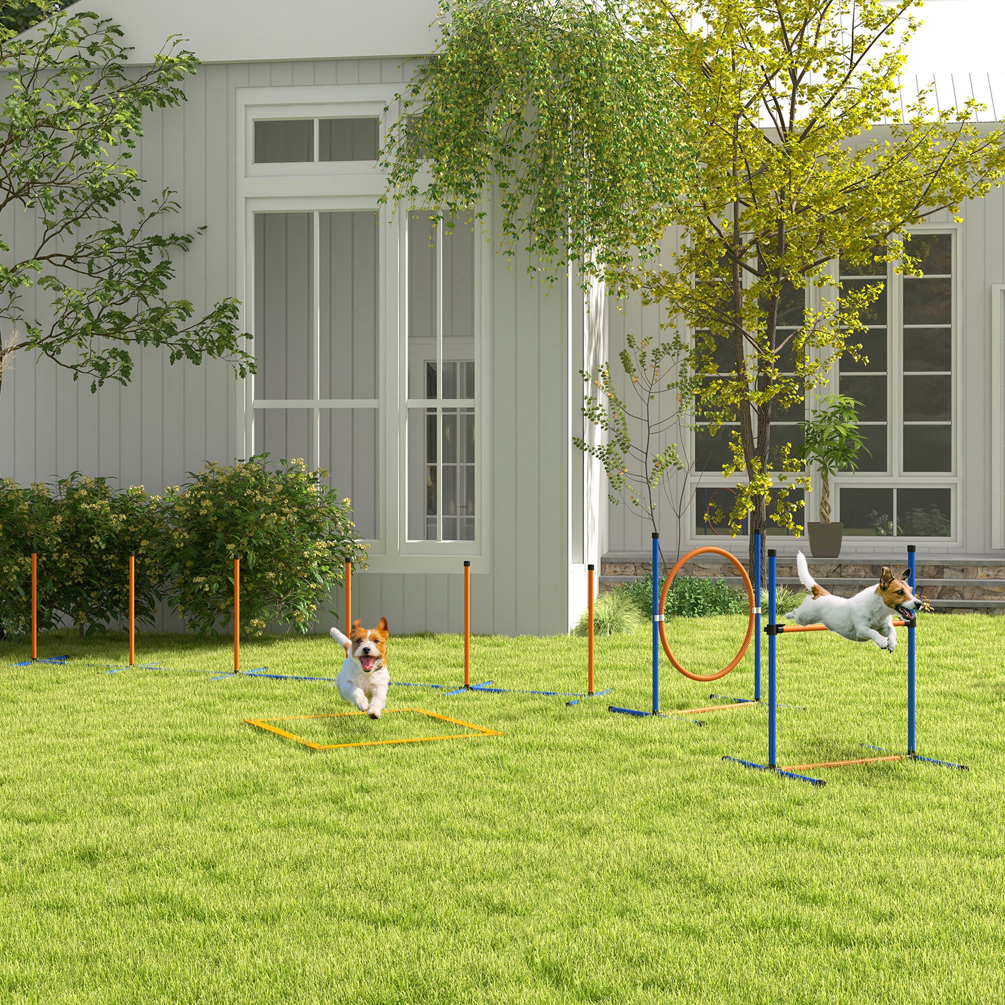 Šunų dresūros ir agility rinkinys, kliūtis, lankas ir slalomo komplektas