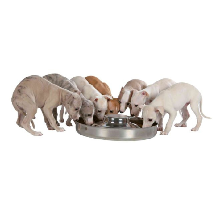 TRIXIE Junior Puppy dubenėlis, 4 l/38 cm pavyzdys