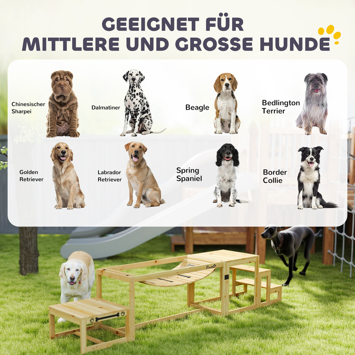 Agility rinkinys šunims: tiltelis, laiptai ir platforma, iš eglės medienos, iki 40 kg, natūralaus medžio spalvos