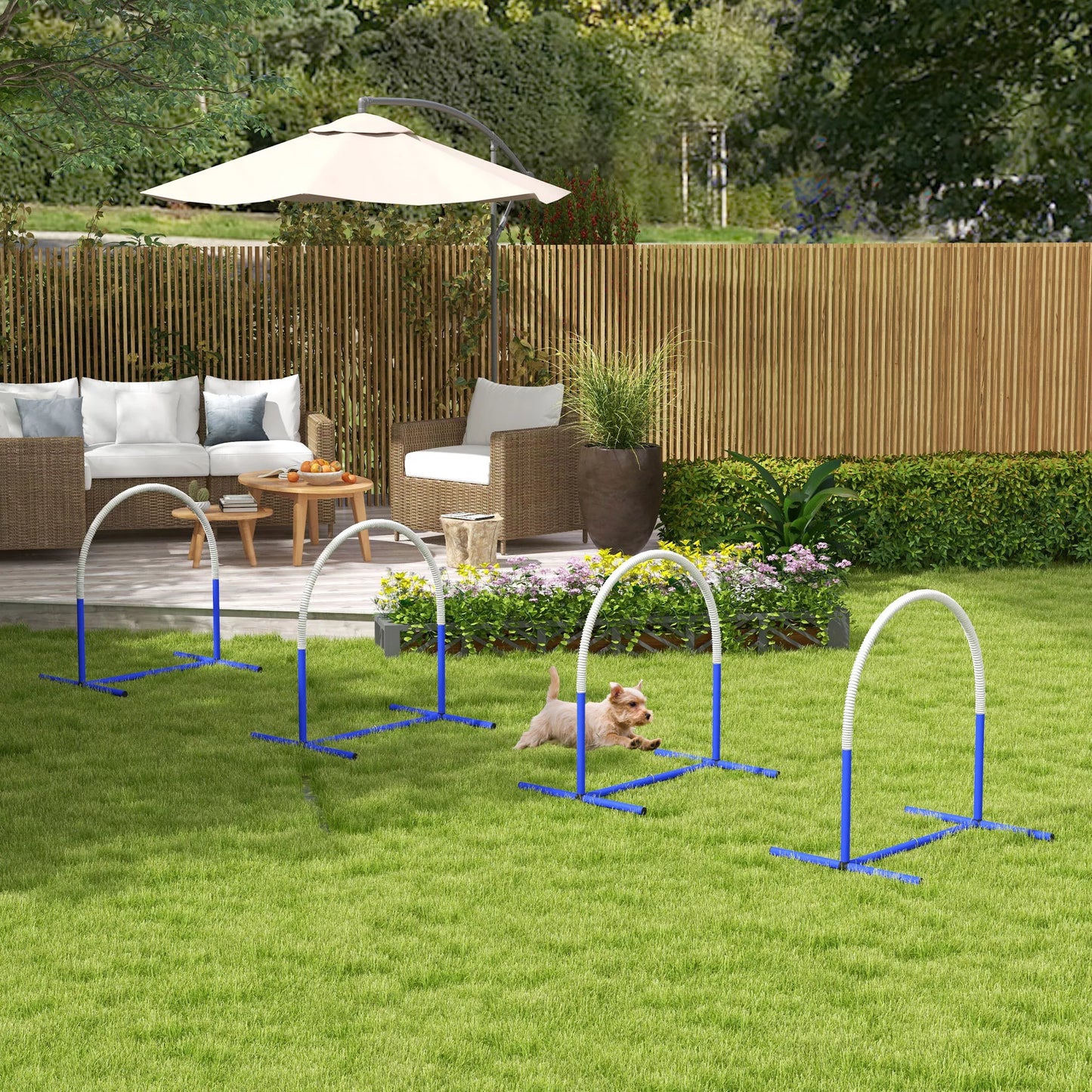 Agiliti rinkinys šunims, dresūrai, 4 lankai, pradedantiesiems, su nešiojimo krepšiu, mėlynas+baltas, 88 x 64 x 95cm