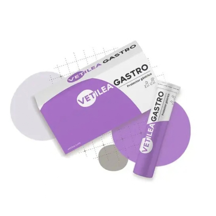Vetilea GASTRO tabletės N28, pašaro papildas