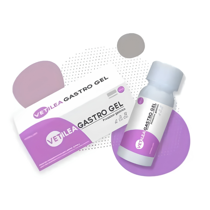 Vetilea Gastro gelis 50ml iš arti