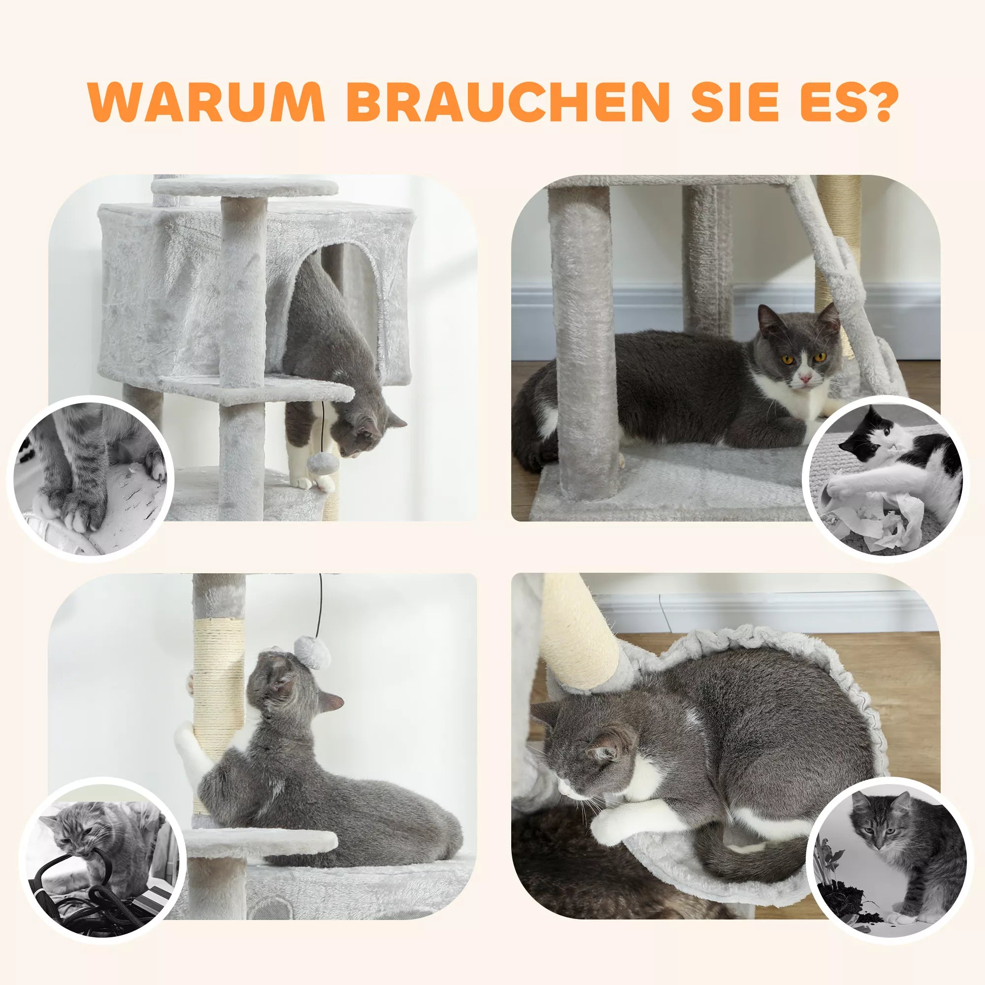 160 cm Kačių draskykla, kelios pakopos, sizaliniai draskymo stulpeliai, urveliai, pliušinės platformos, hamakas, laipteliai, žaisliniai kamuoliukai