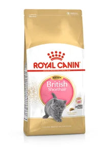 Royal Canin British shorthair kitten