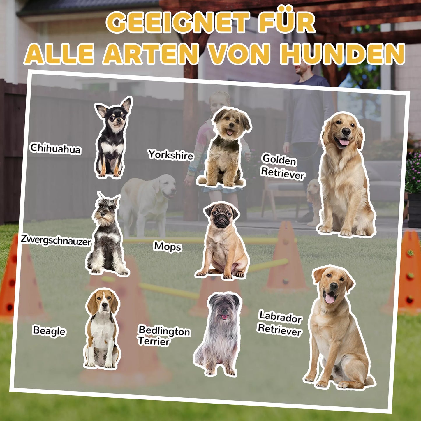 Agility rinkinys šunims 3 dalių agility įranga šunų dresūrai Stumiamų kliūčių rinkinys su 6 kūgiais 3 kliūtys Nešimo krepšys
