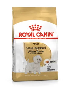 Dog West Highland White Terrier Adult 1,5 kg