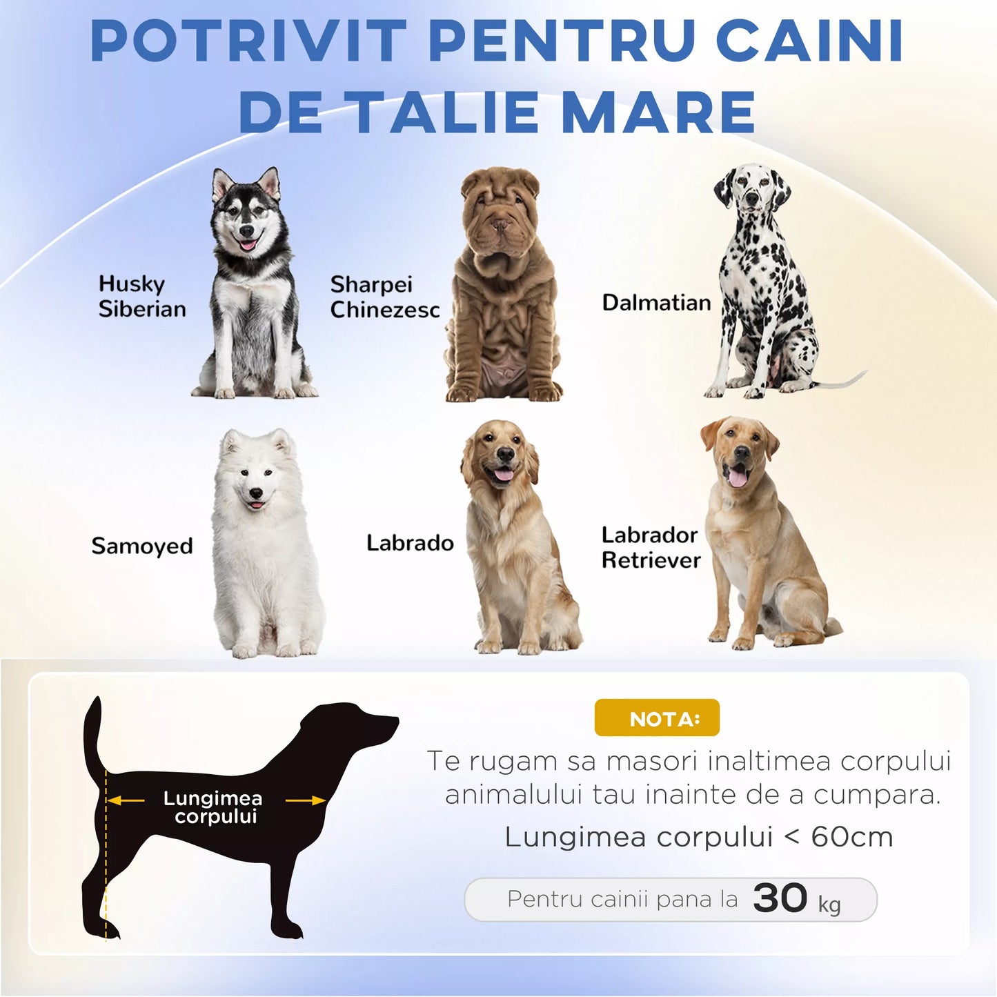 Šunų lova, šunų sofa, naminių gyvūnėlių sofa, Eukalipto mediena, 98 x 67 x 25 cm, Žalia