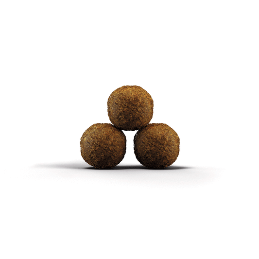 Josera Kitten sausas kačių maistas, 10 kg